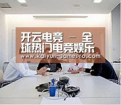 研发能力标题二